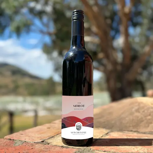 2019 Merlot 750ml by McIvor Estate